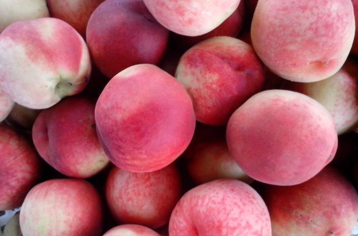 养生|春节过后是家人养生黄金期,多吃3种鸿运果,寓意健康如意