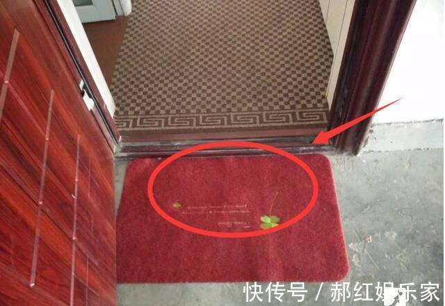 装修坑|搬入新房2月想拆房!当初脑子被驴踢中了17个装修坑,个个烧心慌