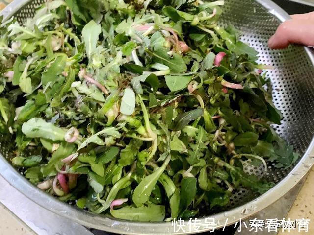 吃肉|3月,宁可不吃肉也要吃这菜,维A是苹果10倍,包饺子太香了