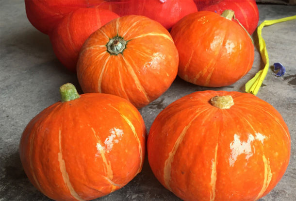 卵巢|“天然雌激素”找到了，女人50岁后要多吃，美白祛斑抗皱防衰老