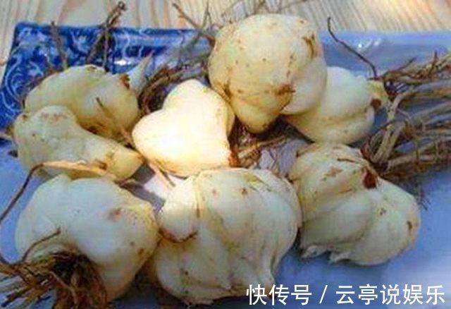 蔬菜|农村的7种蔬菜认识3种正常,认识5种我服你,全认识的人很少