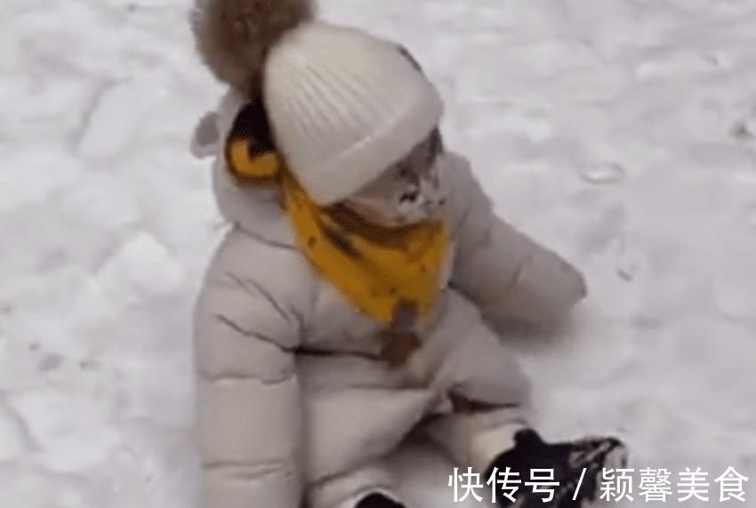 带娃|亲爸把娃放在车顶用来“扫雪”火了,网友:养娃千日,用娃一时!