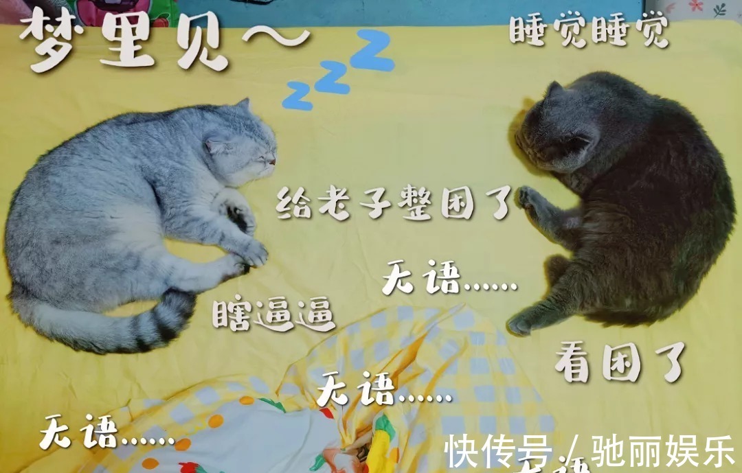 《街舞》全球直播翻车!地板松动事故频发,王一博干呕张艺兴胃疼