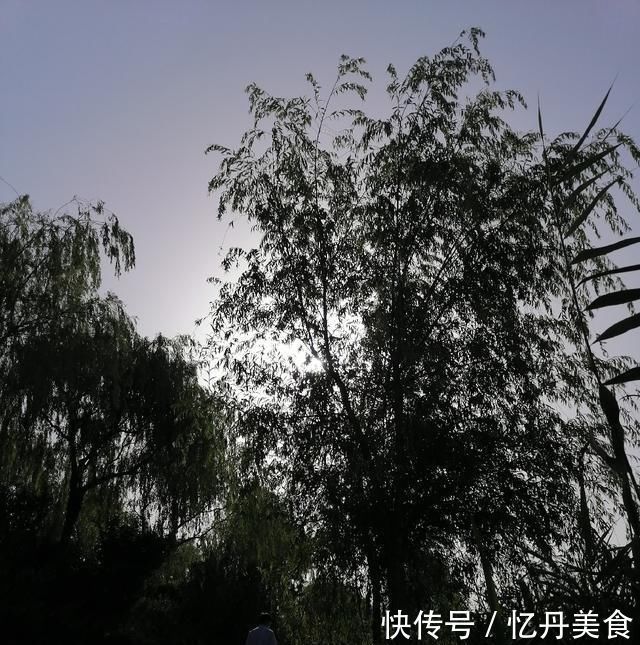 大鱼|高温天,钓大鱼先克服这些“难题”,不是我吹,渔获瞬间猛增几倍