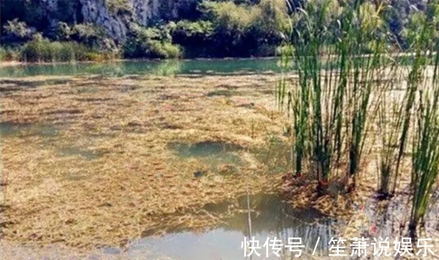 鲫鱼|冬钓选钓位,就选这四个位置,天气越冷越聚鱼