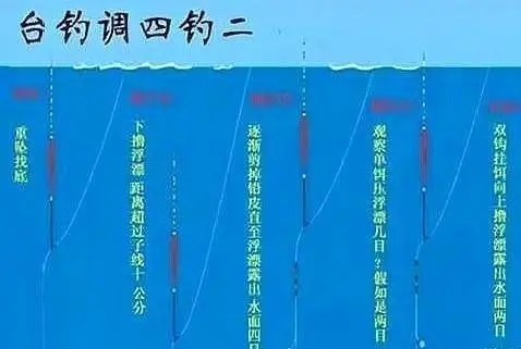 大调|还在学调4钓2、调5钓3?一次性教会你,调漂一直不难!