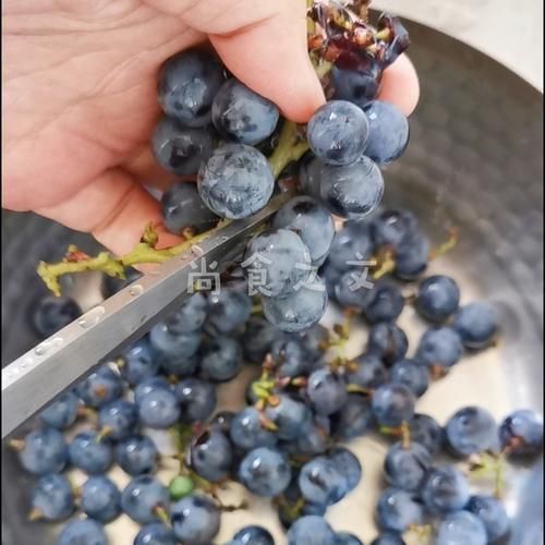 山葡萄|它是“天然助眠剂”，失眠的人睡前喝1杯，无梦睡到天亮