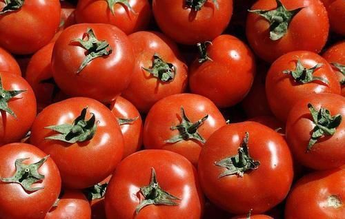 西红柿烂掉别扔,学学菜农变废为宝,家家户户都用得到,太实用了