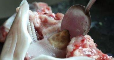 青鱼石竟是青鱼的软骨价值不算贵用途却不少,取出后该如何处理