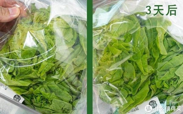 法式|相见恨晚的4款厨房电器，一开始以为只有颜值，使用后直接被圈粉