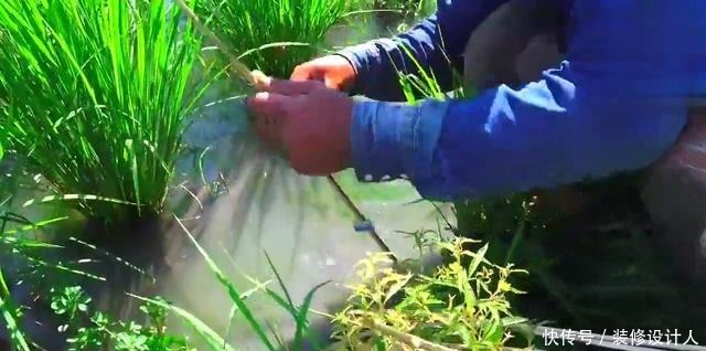 插竿钓法省事省心的钓取昂贵渔获的同时,领略古老钓法的乐趣!