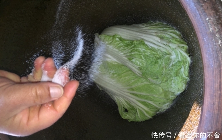东北酸菜|腌酸菜,东北大娘教你3个技巧,保证酸香脆爽,久放不霉,超好吃