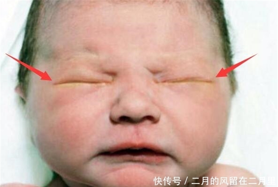 水灵灵|“暴躁宝宝”走红,刚出生就一脸生气:对这个家不是很满意?