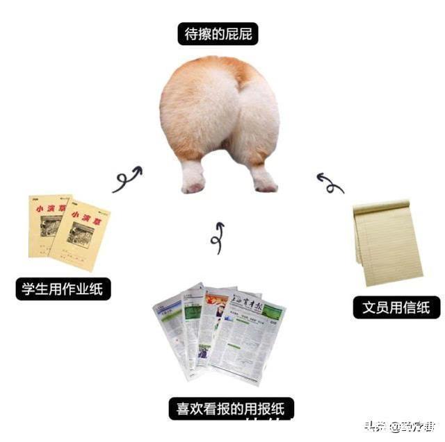 上完厕所，厕纸该冲掉还是扔进纸篓？原来这些年都错了