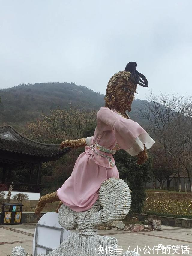 视频号|“现在人网购的审美有多奇葩？？”哈哈哈哈哈真的离了个大谱