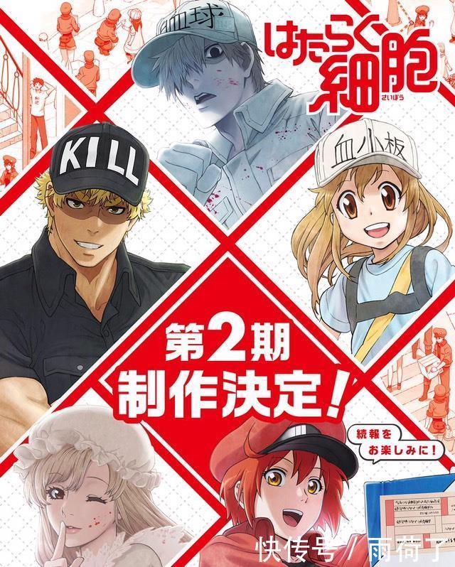 细胞|《工作细胞》剧场版肠道内的大骚动,这次轮到被乳酸菌萌出血了!