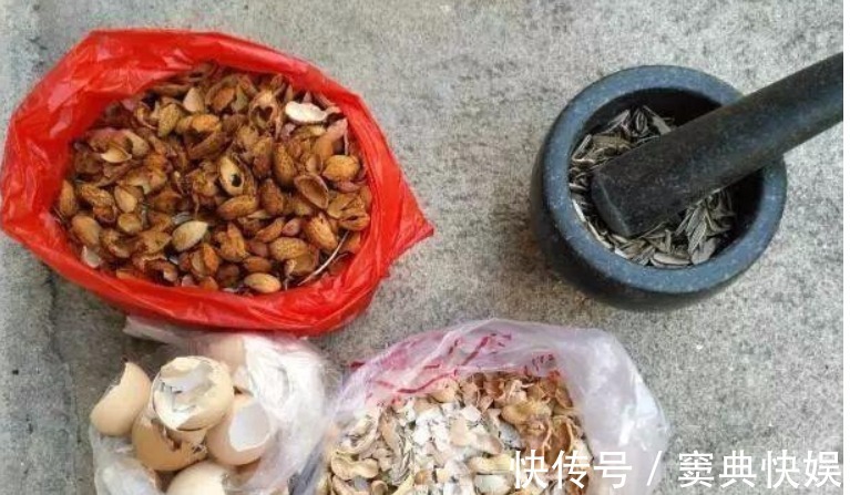 养花就用几种“神器”，花盆不积水，植物涨势好不烂根