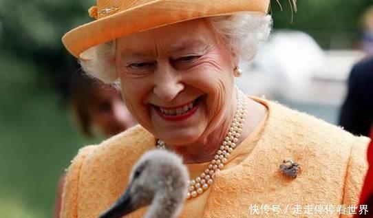 在位|她在位64年,曾指责撒切尔夫人,为何连自己的儿子也讨厌!