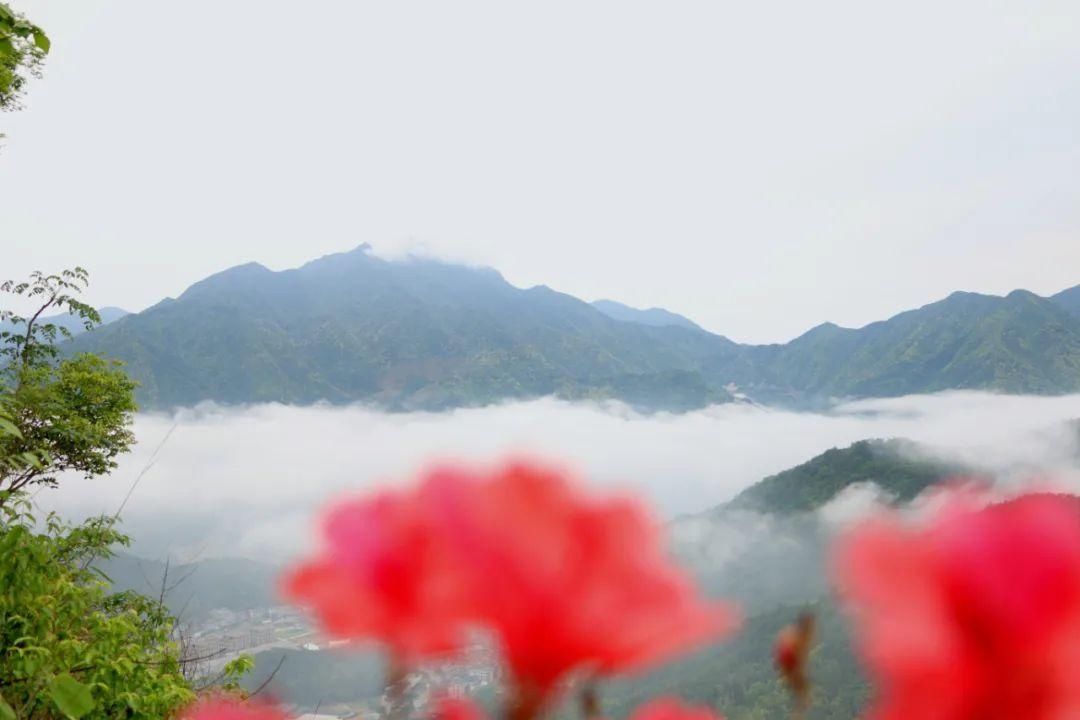 上帝偏爱的山水秘境！日出云海，观星赏花……这个浙南宝地是藏不住啦~