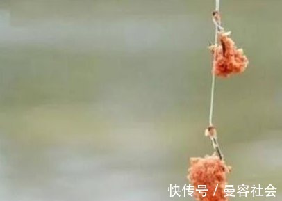 间距|双钩的钩距应该多长最合适?钓鱼高手教你这样选,中鱼率能猛增