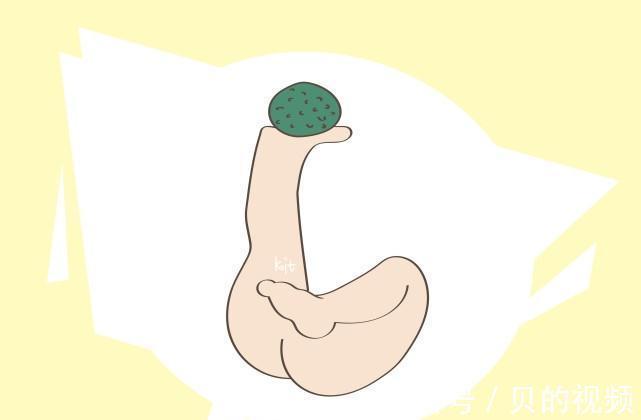 大脑|想要孩子更聪明,家长多摸这些部位,有效促进大脑发育