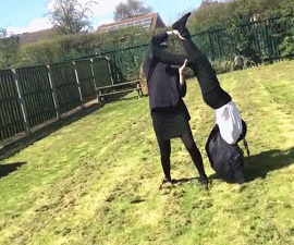 |搞笑GIF:设计师你出来 我保证不打你脸