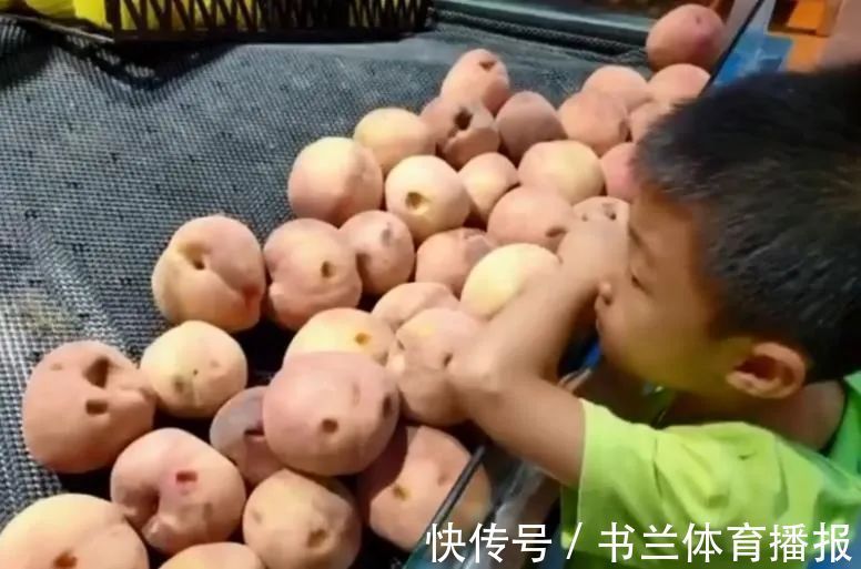 白菜|1岁娃把超市桃子都戳了个洞,硬核老妈指指榴莲:别怕疼使劲拍