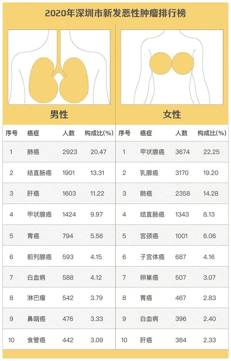 甲状腺癌|深晚报道｜全国规格最高的“肿瘤大会”本周末在深圳举行，深圳人可到这259个地方免费查癌