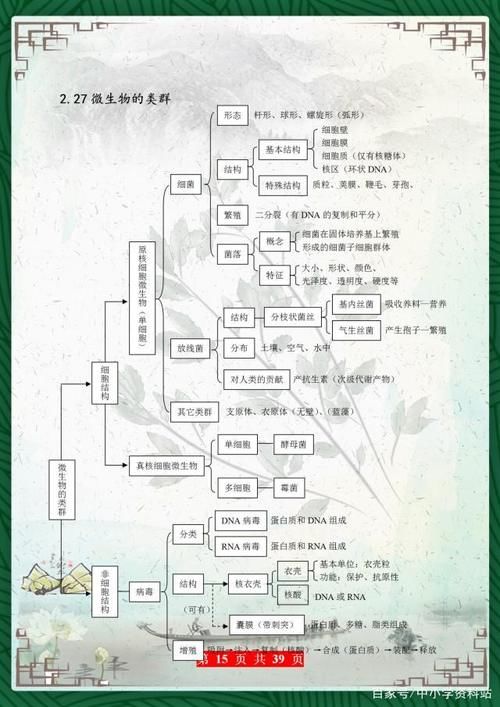 高考729分美女学霸：把高中生物“浓缩”成39张图，3年最低不下95