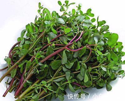 痔疮|一块钱的香菜就可以治痔疮?真是神了!一个月痔疮肉球就不见了