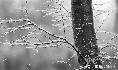 实在|贵州旅游｜贵州下雪啦！这些雪景图实在太美了！你那边下雪没？