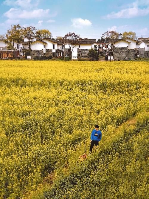 春暖花开日，这些“宝藏”赏花地，值得你打卡