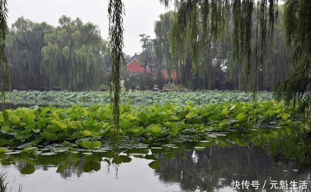 长春园|“皇家园林”圆明园韵味十足，堪比吴冠中笔下江南水乡水墨画