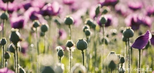 智商|出生在几点钟的孩子,智商最高,将来一定大有出息,前途光明