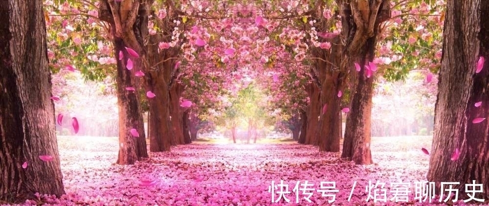 妖狐!九尾灵狐不是狐狸而是先天所生灵兽,本为高贵的象征,却被人误解