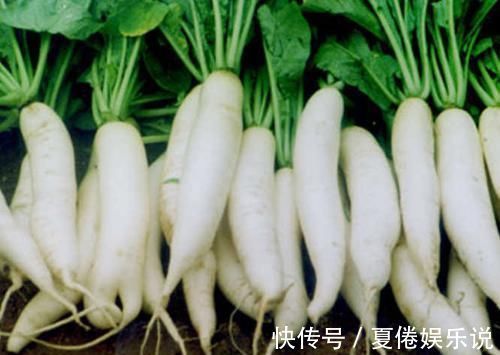 膳食纤维|便秘别再吃泻药了,多吃5种食物,帮助润滑肠道,排便通畅人舒服