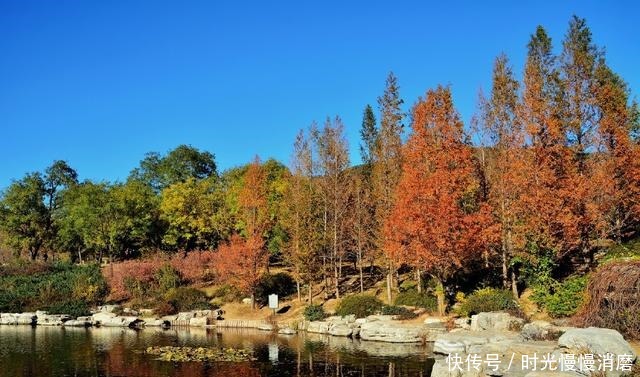 太精明的男人,格局都不大!(深度好文)