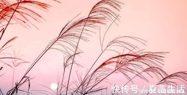 悲秋!汉武帝作了一首悲秋诗,语言优美巧妙,惊艳了2000多年