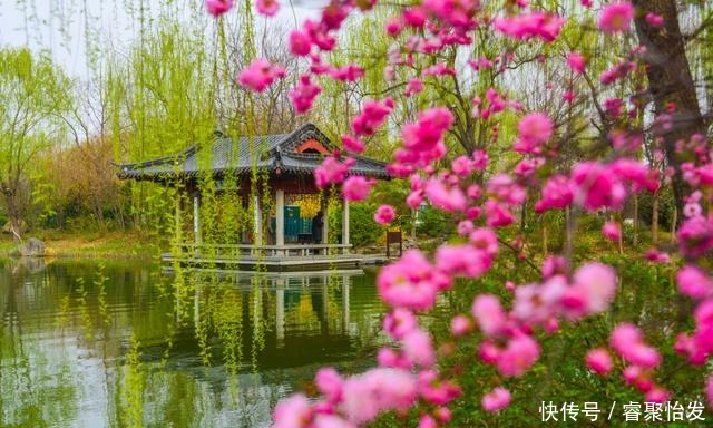 走，带上家人去野餐！《济南春日野餐指南》请收好！