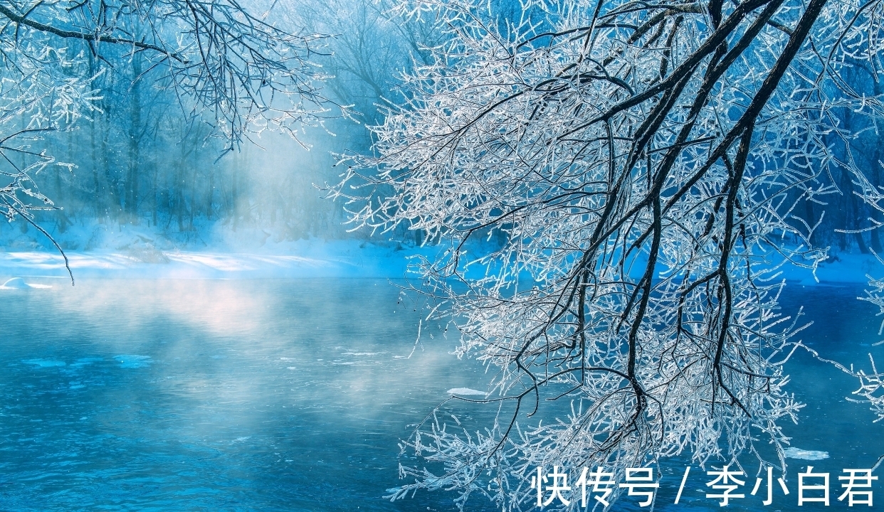 林园&诗词丨冬日感怀