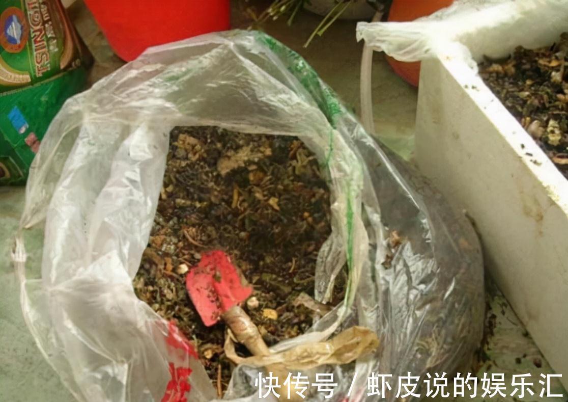 爷爷养花从不花钱,只用这3种垃圾,盆里撒一层,养啥都爆