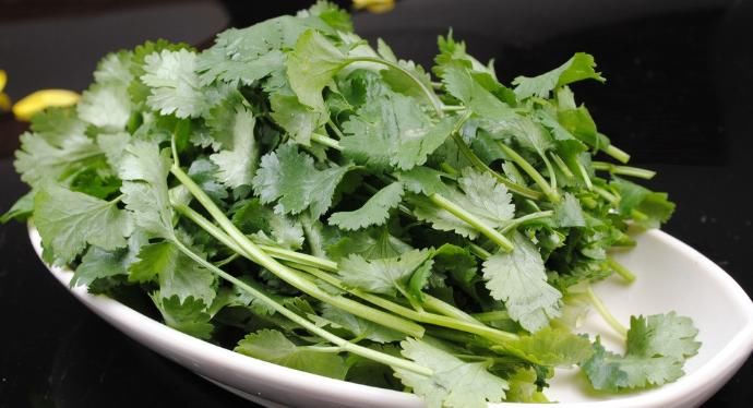 来看|你爱吃香菜吗?香菜的功效与作用你知道多少呢?快来看看吧!