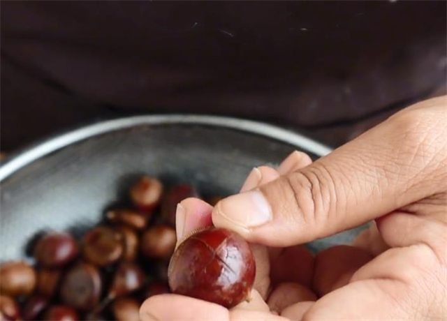 糖水|这才是板栗最好吃的做法,两个小技巧,轻松去壳又好吃,简单实用
