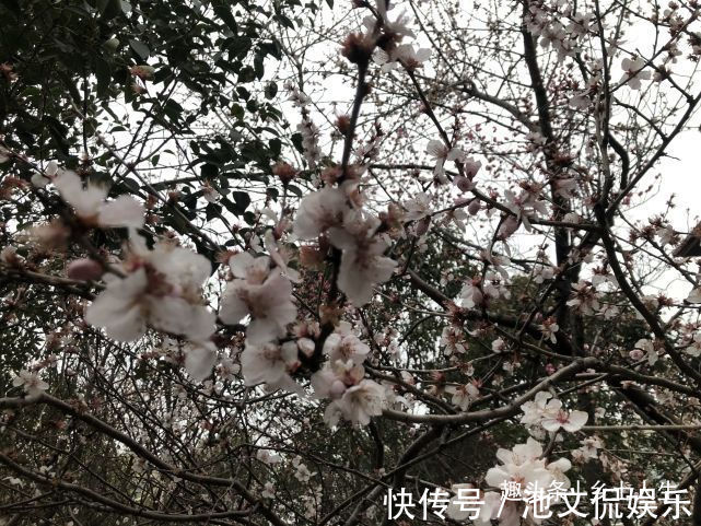 后天惊蛰,农村俗语惊蛰不冻虫,寒到五月中