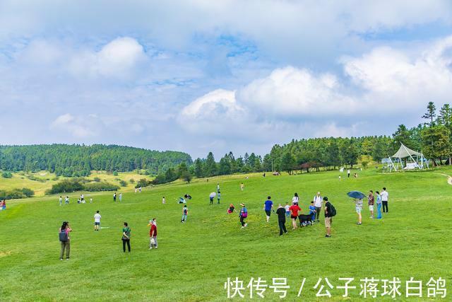 草原|中国适合避暑的5大草原，带你一起逃离三伏天，你准备好了吗