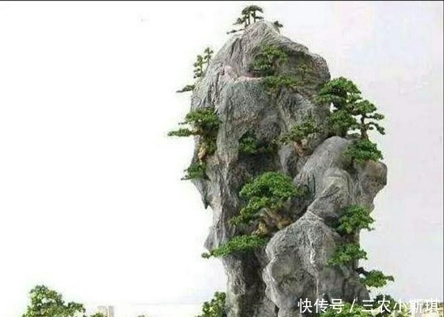 山石上|怎样才能修饰出更显自然的山水盆景