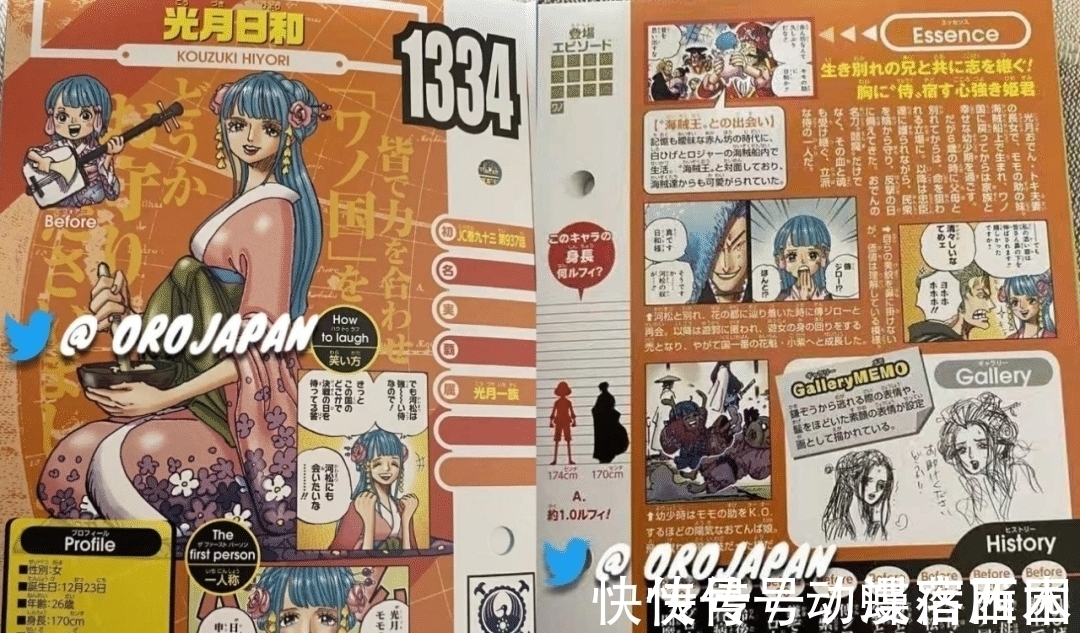 生命|海贼王:官方公布一波生命卡,罗杰的刀,马尔科的赏金都出来了