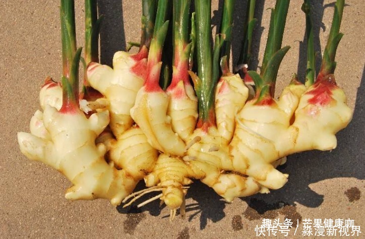 缺铁性贫血|女性大姨妈期间,最适合吃的6种食物,缓解痛经、补血安神