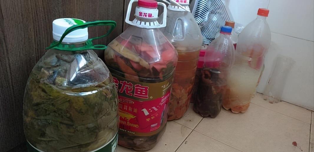 养花|黄豆泡一泡，倒进花盆里，劲大营养足，养花种菜一级棒