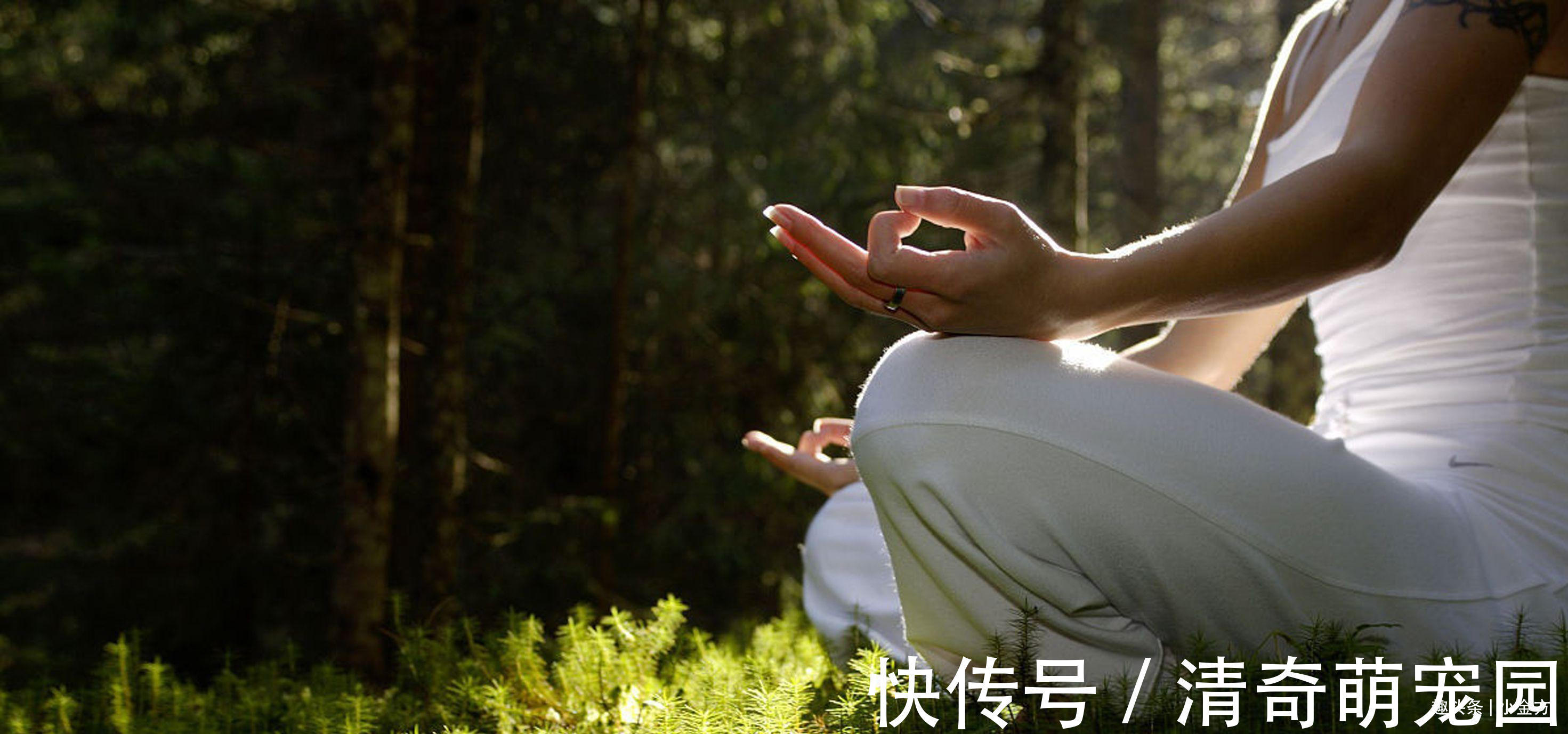 中医|大自然赐给男人的“保命丸”，补阳气养三焦，胜过六味地黄丸！